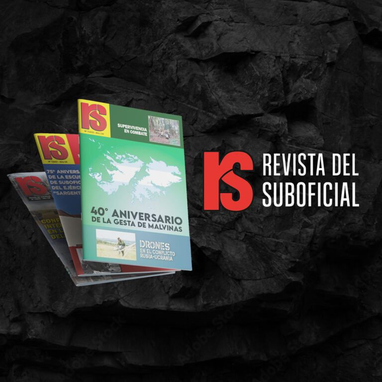 revista dfel suboficial